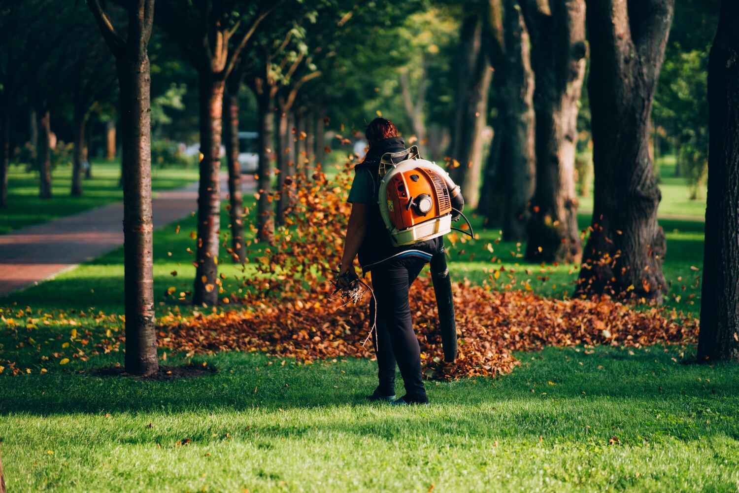 Best Local Tree Services  in Sugar Grove, IL